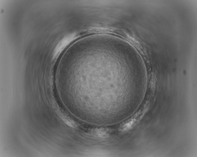 X0000089720103200706211418