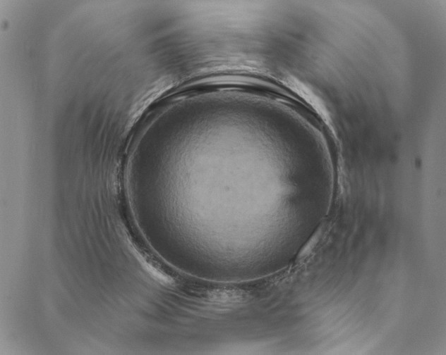 X0000089720105200706211418
