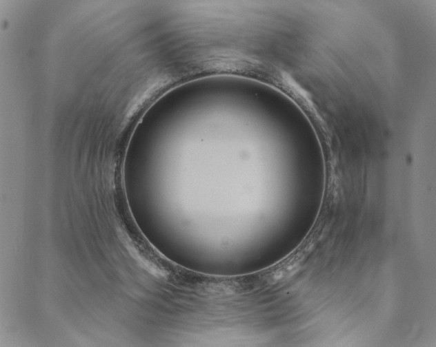 X0000089720106200706211418