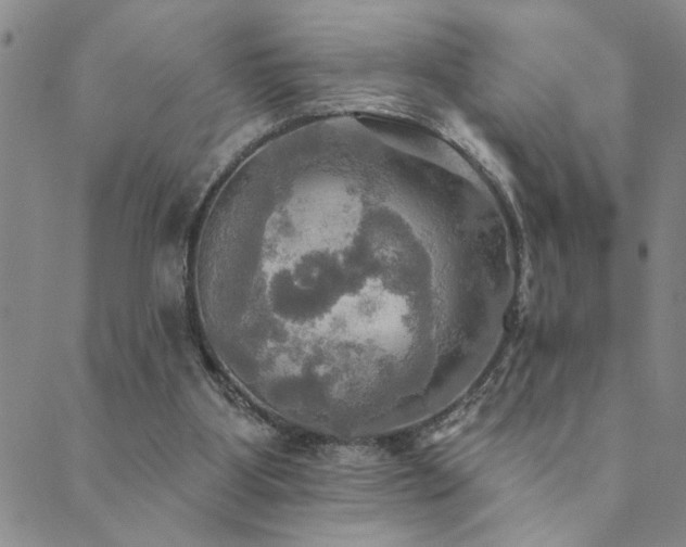 X0000089720107200706211418