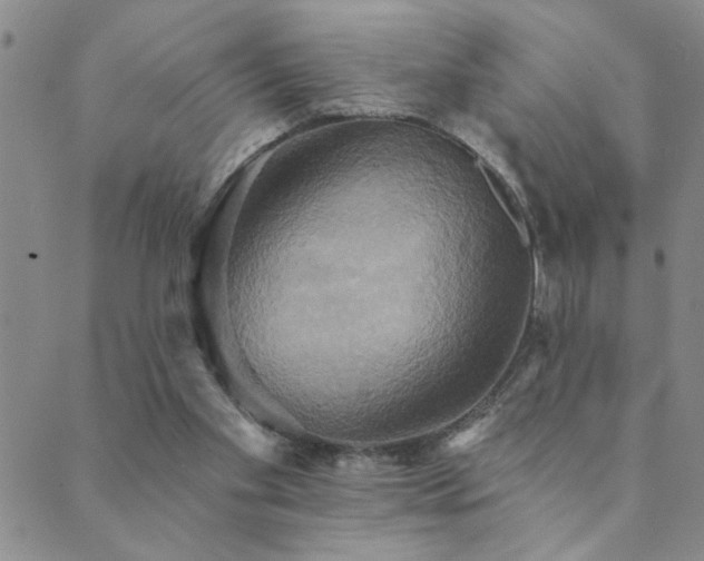 X0000089720109200706211418