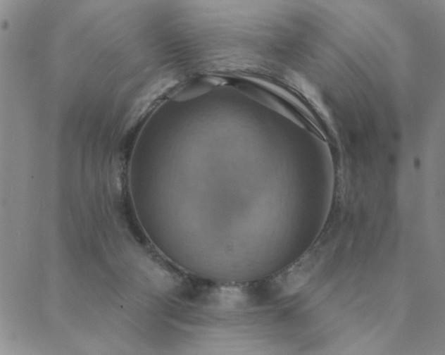 X0000089720114200706211418