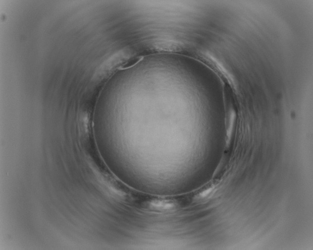 X0000089720117200706211418