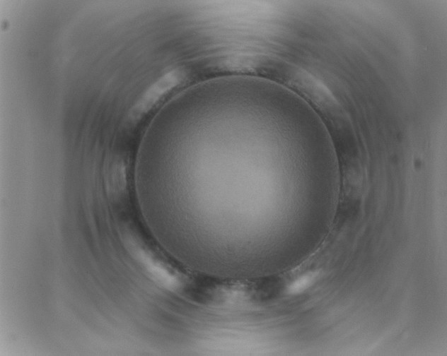 X0000089720120200706211418