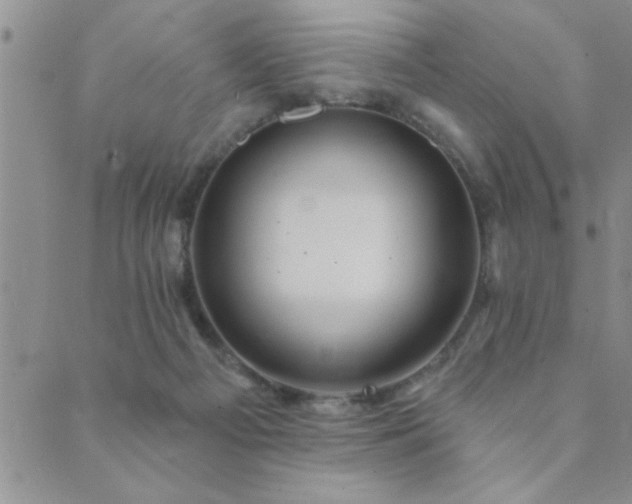 X0000089720121200706211418