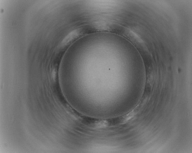 X0000089720124200706211418