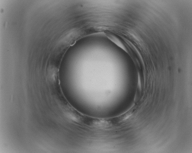 X0000089720125200706211418