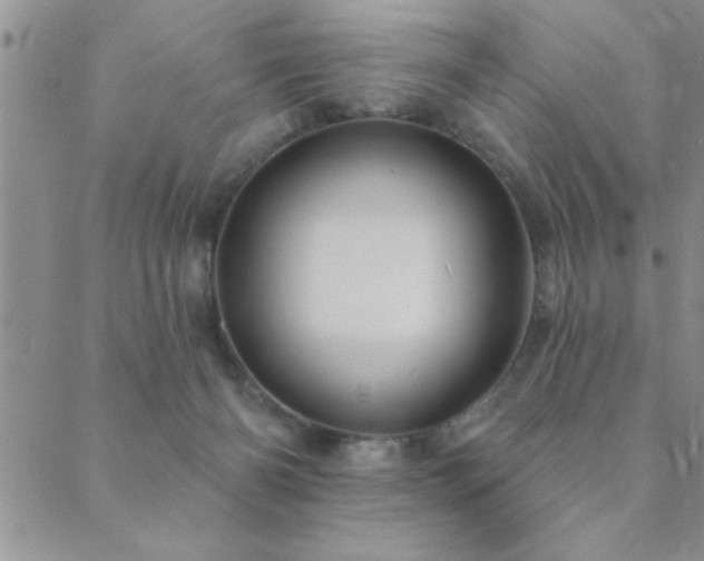 X0000089720126200706211418