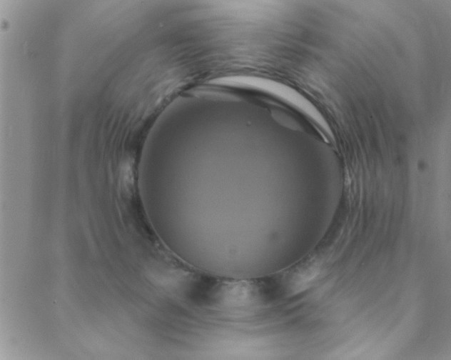 X0000089720127200706211418