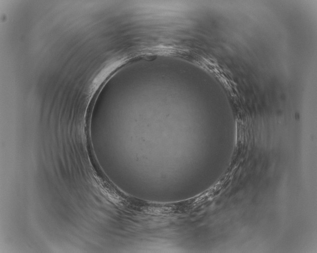 X0000089720147200706211417