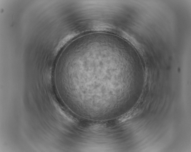 X0000089720155200706211417