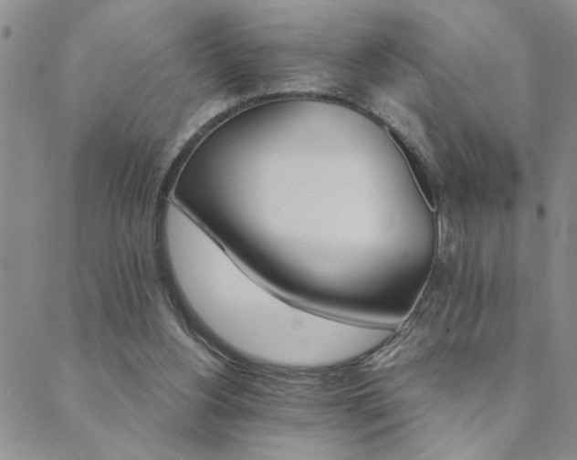 X0000089720156200706211417