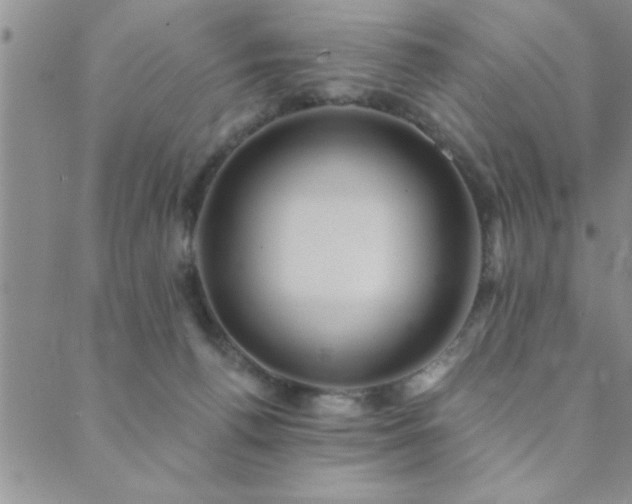 X0000089720176200706211418