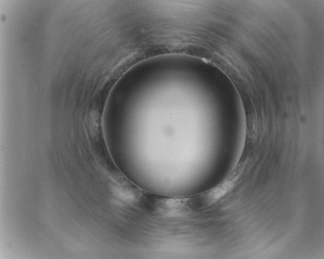 X0000089720184200706211418