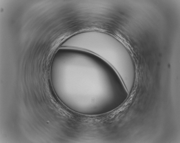 X0000089720193200706211417