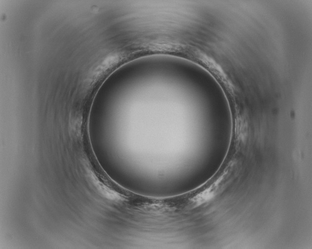 X0000089720201200706211417