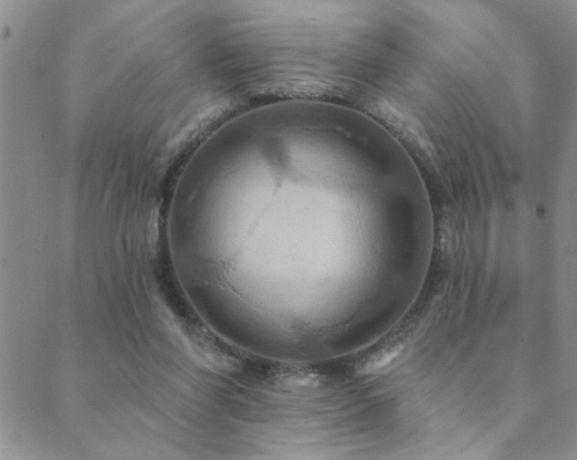 X0000089720206200706211417
