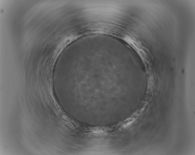 X0000089720241200706211415