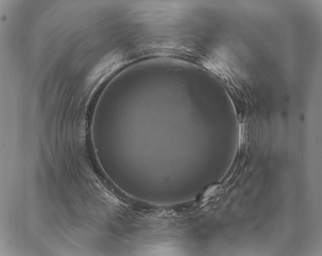 X0000089720243200706211416