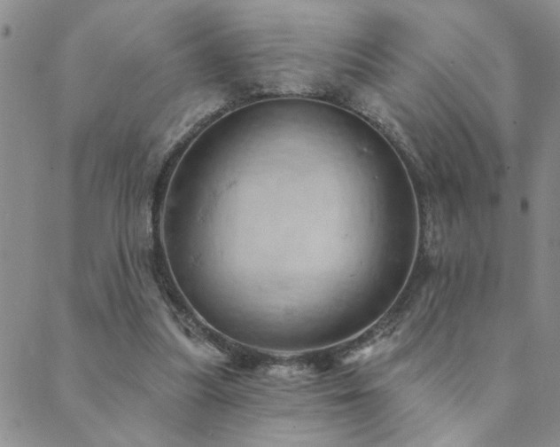 X0000089720251200706211416