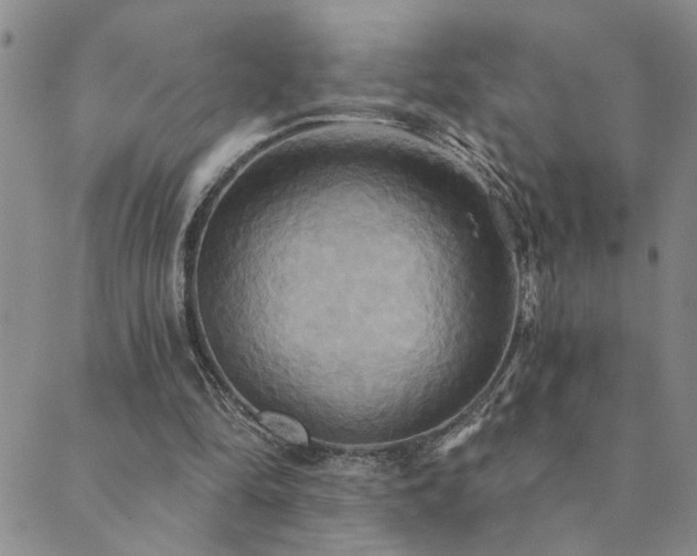 X0000089720294200706211415