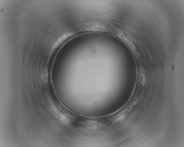 X0000089720298200706211415