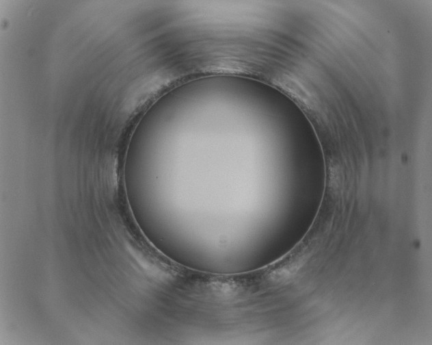 X0000089720302200706211415