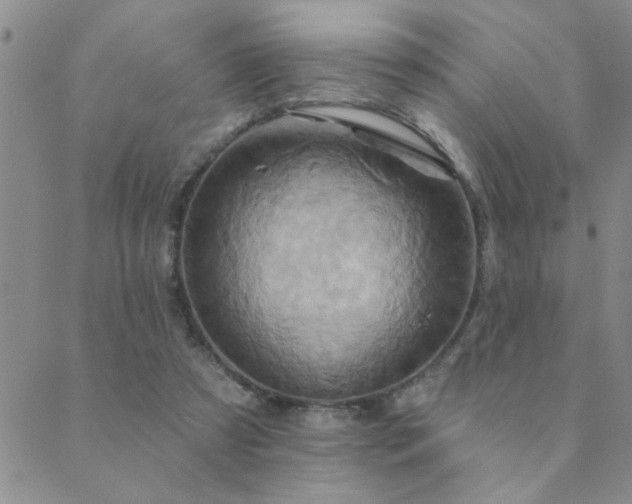 X0000089720305200706211415