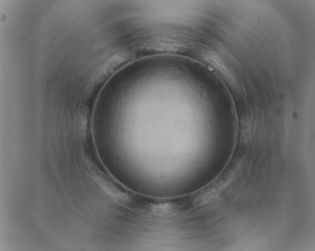 X0000089720309200706211415