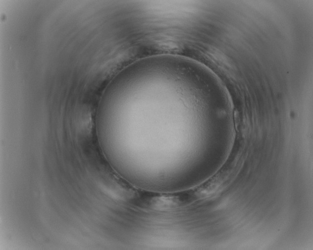 X0000089720320200706211415