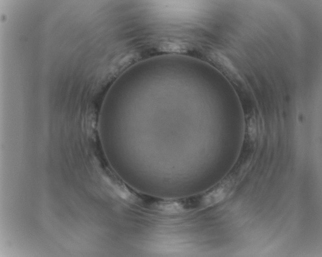 X0000089720322200706211415