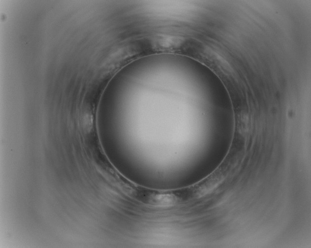 X0000089720324200706211415