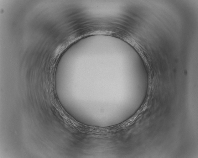 X0000089720337200706211414