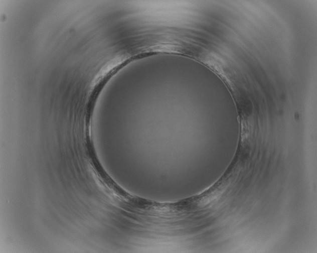 X0000089720349200706211414