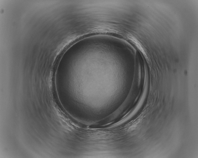 X0000089720387200706211414