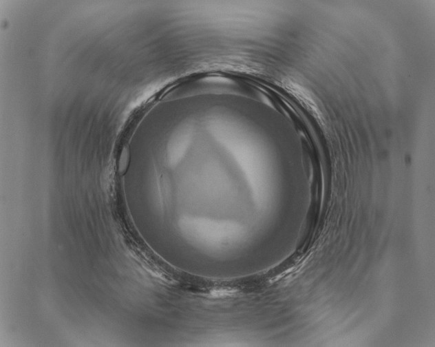X0000089720388200706211414
