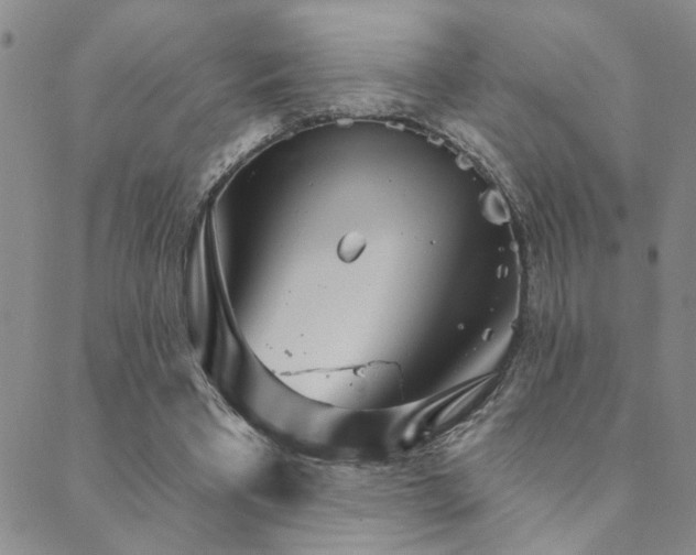 X0000089720393200706211414