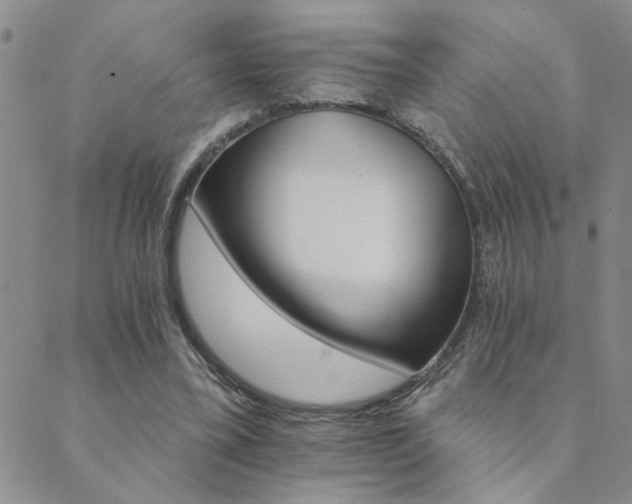 X0000089720395200706211414