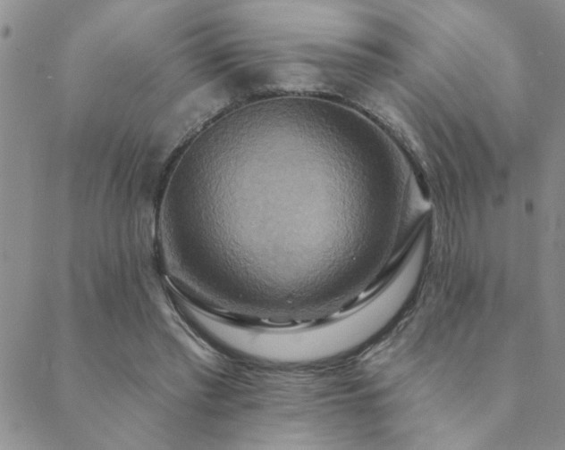 X0000089720397200706211414