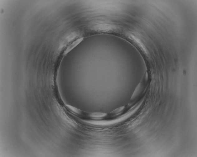 X0000089720399200706211414