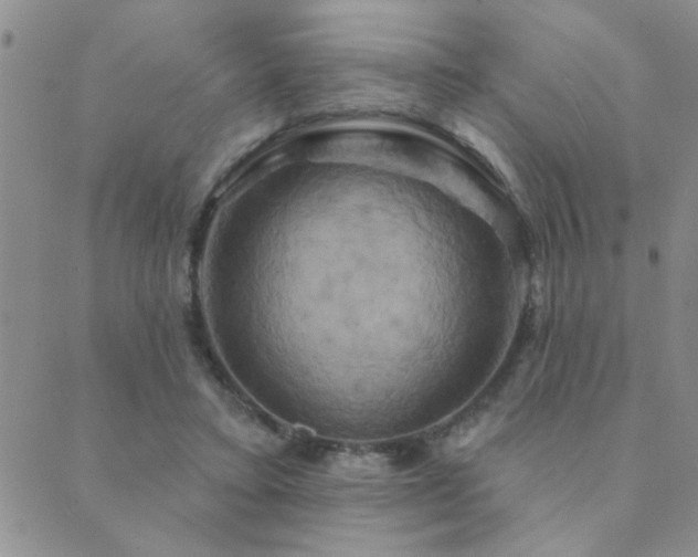 X0000089720403200706211414