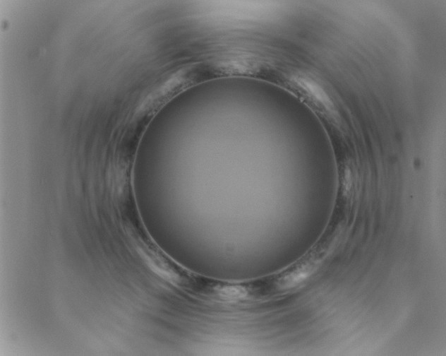 X0000089720409200706211414