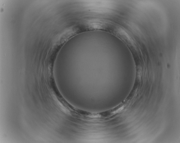 X0000089720410200706211413