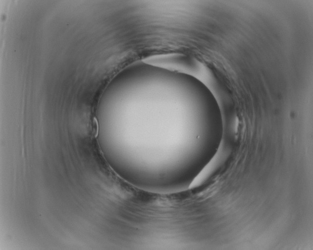 X0000089720416200706211413