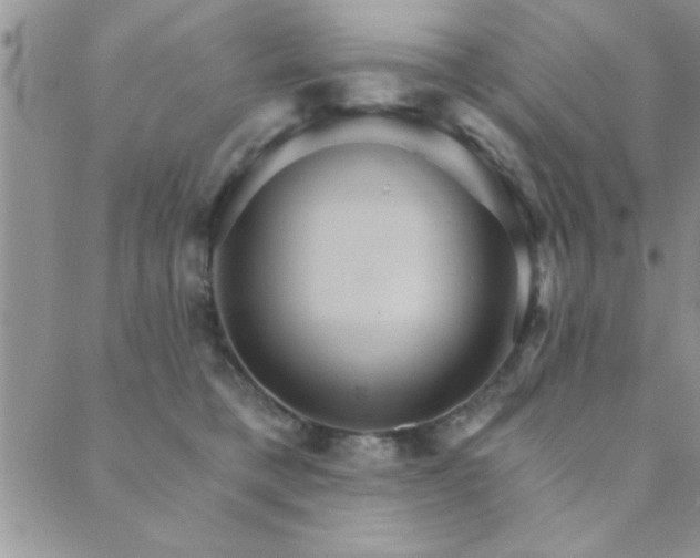 X0000089720421200706211413