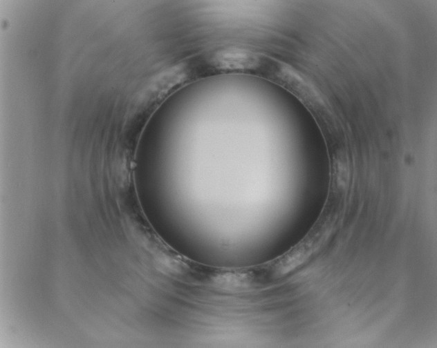 X0000089720422200706211413