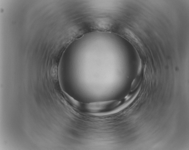 X0000089720425200706211413