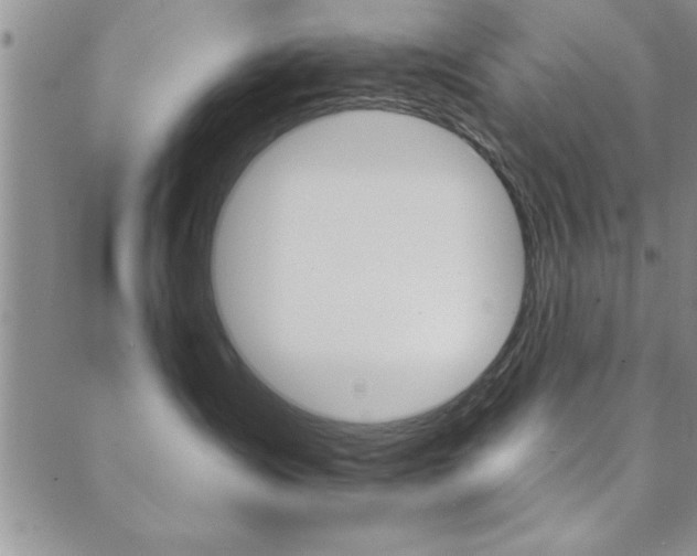 X0000089720431200706211413