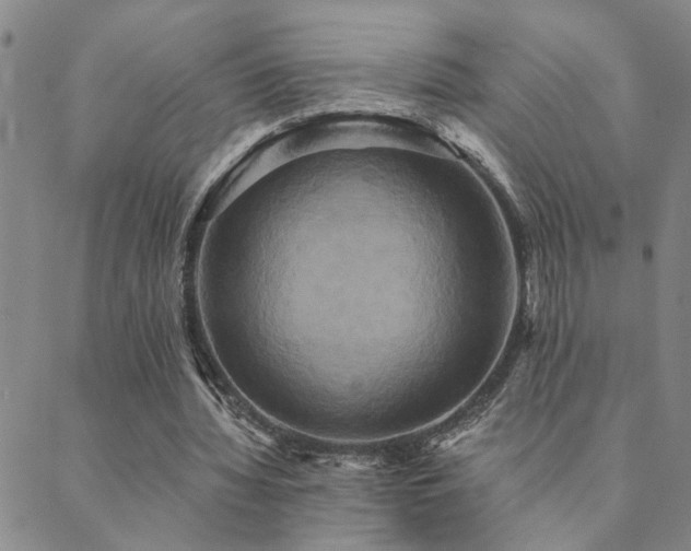 X0000089720436200706211412