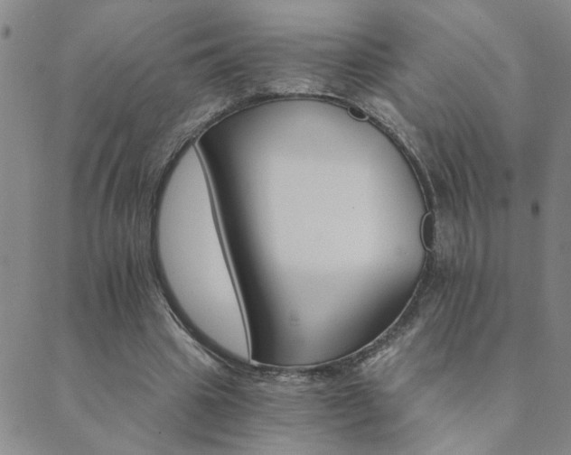 X0000089720441200706211412